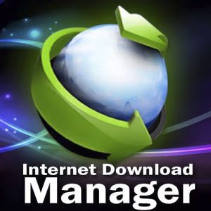 Internet Download Manager IDM for Win v6.42.38最新（公认最强高速下载器）最新中文版