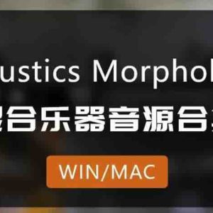 [18 Sätze gemischter Instrumenten-Klangquellensammlung, vollständige Version] NEST Acoustics Morphology, Flöte, elektrische Stahl-Hackbrettharfe usw. [KONTAKT] (6,64 GB+)