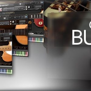 [29 Sets der umfassendsten One-Click-Bibliothekssammlung von Ilya Efimov] Gitarren-Bass-Russisches Folk-Bundle [KONTAKT] (28,62 GB+)
